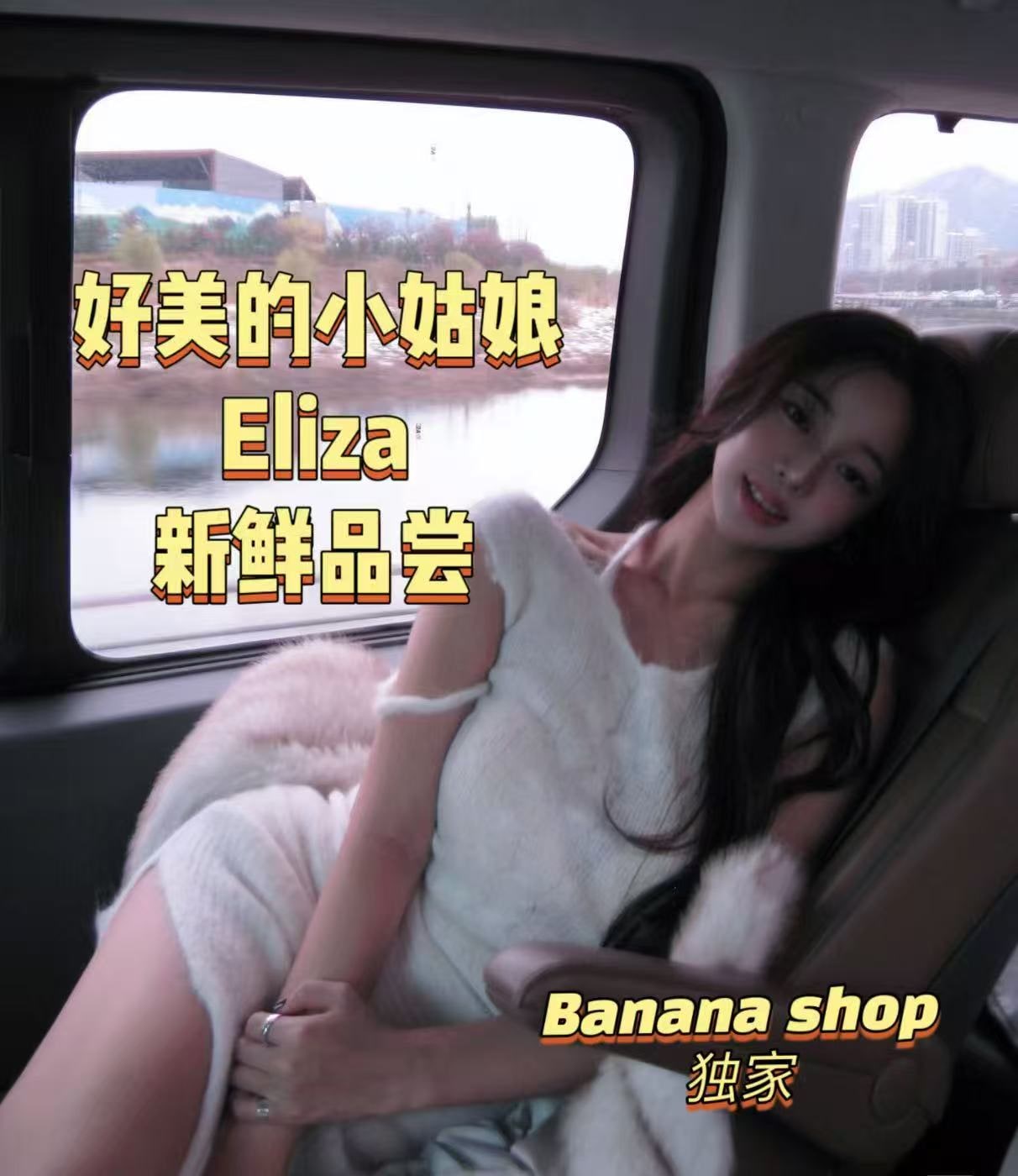 eliza provider preview