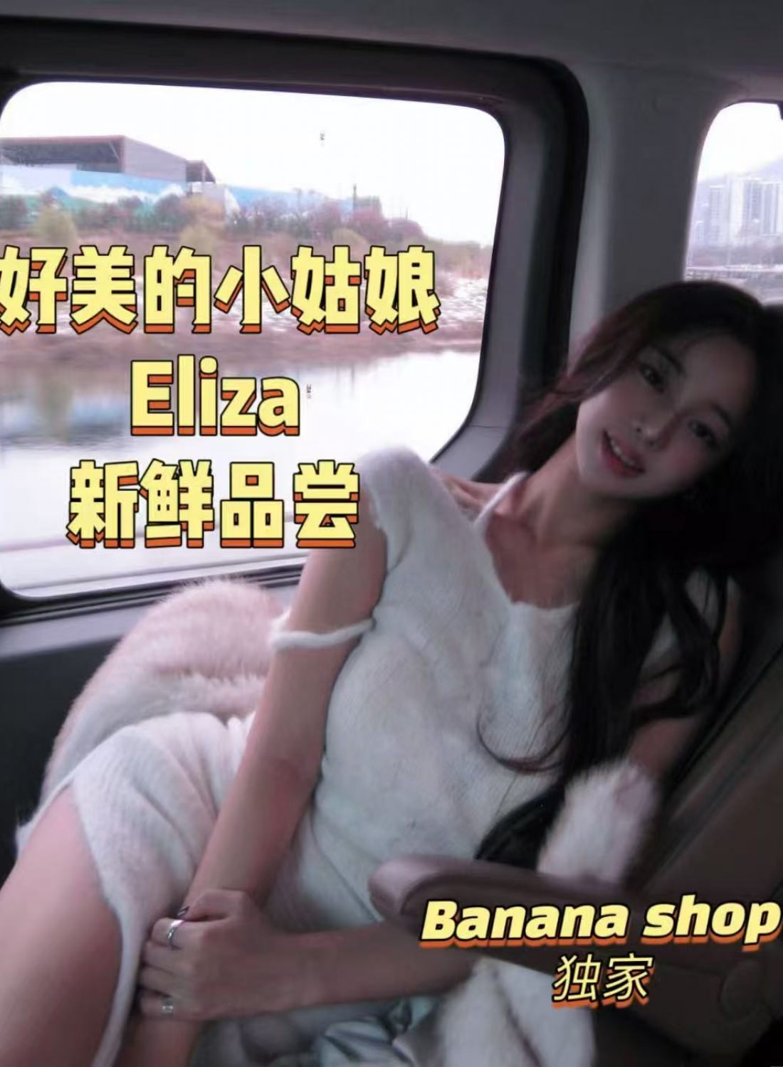 Eliza provider preview