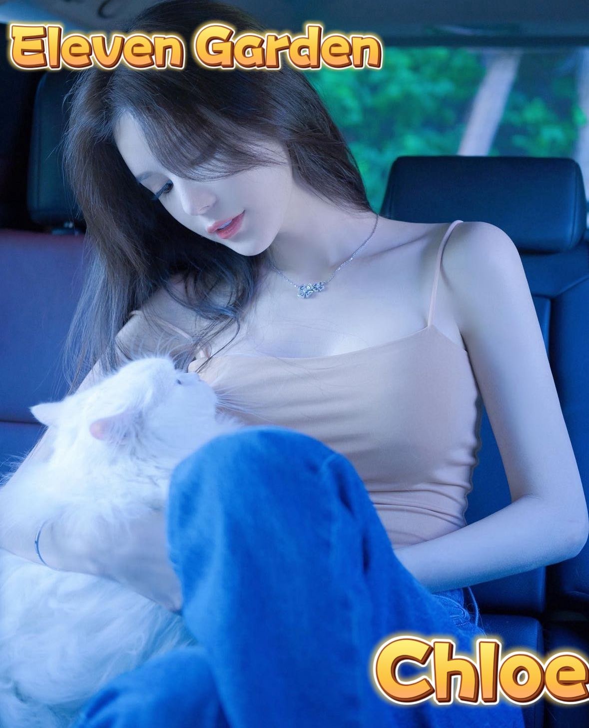 Chloe provider preview