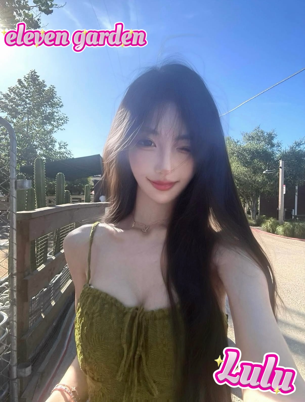 Lulu provider preview
