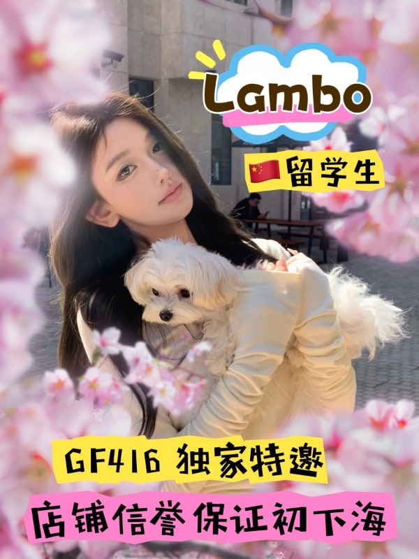 Lambo provider preview