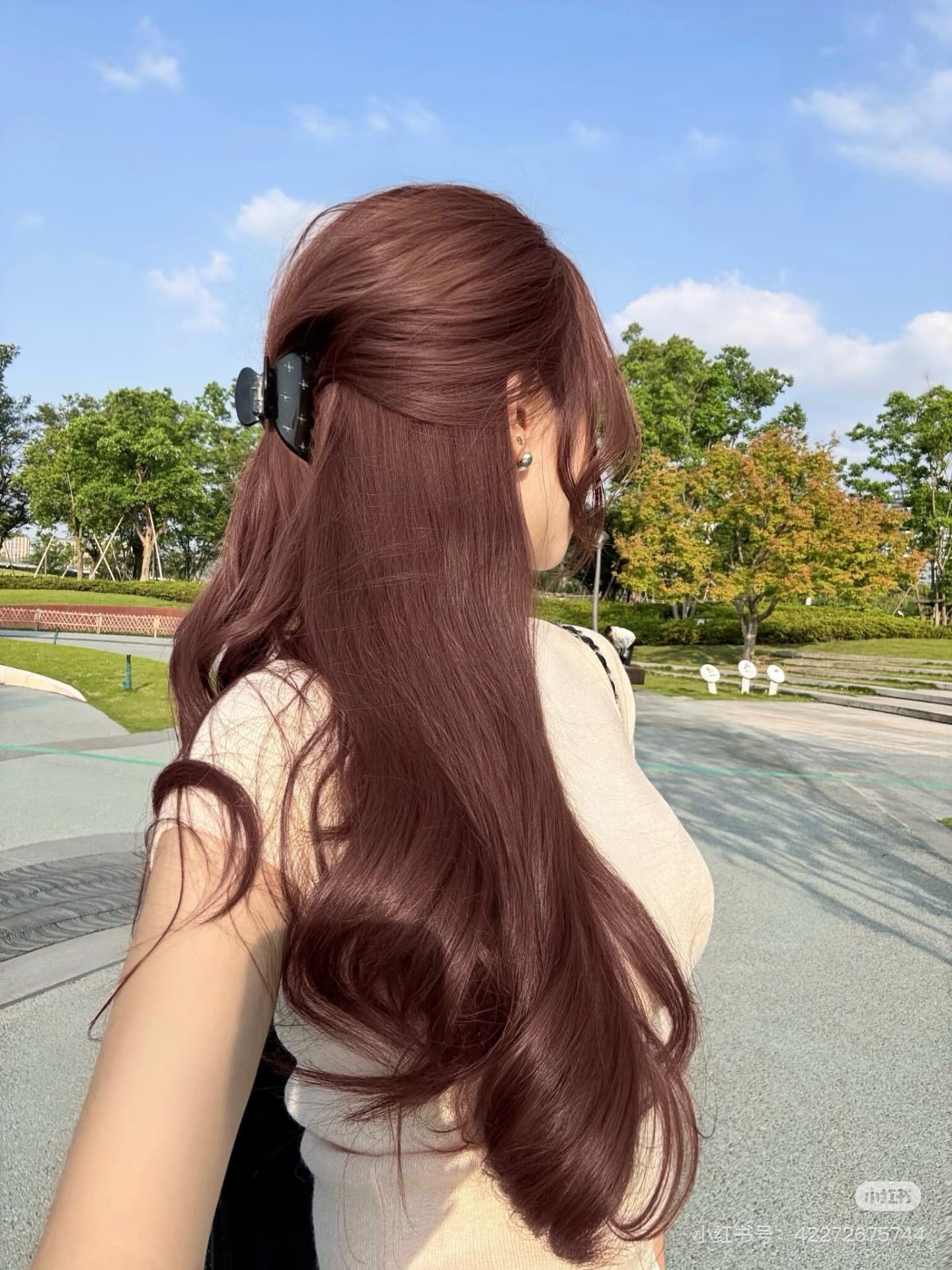 Alice provider preview