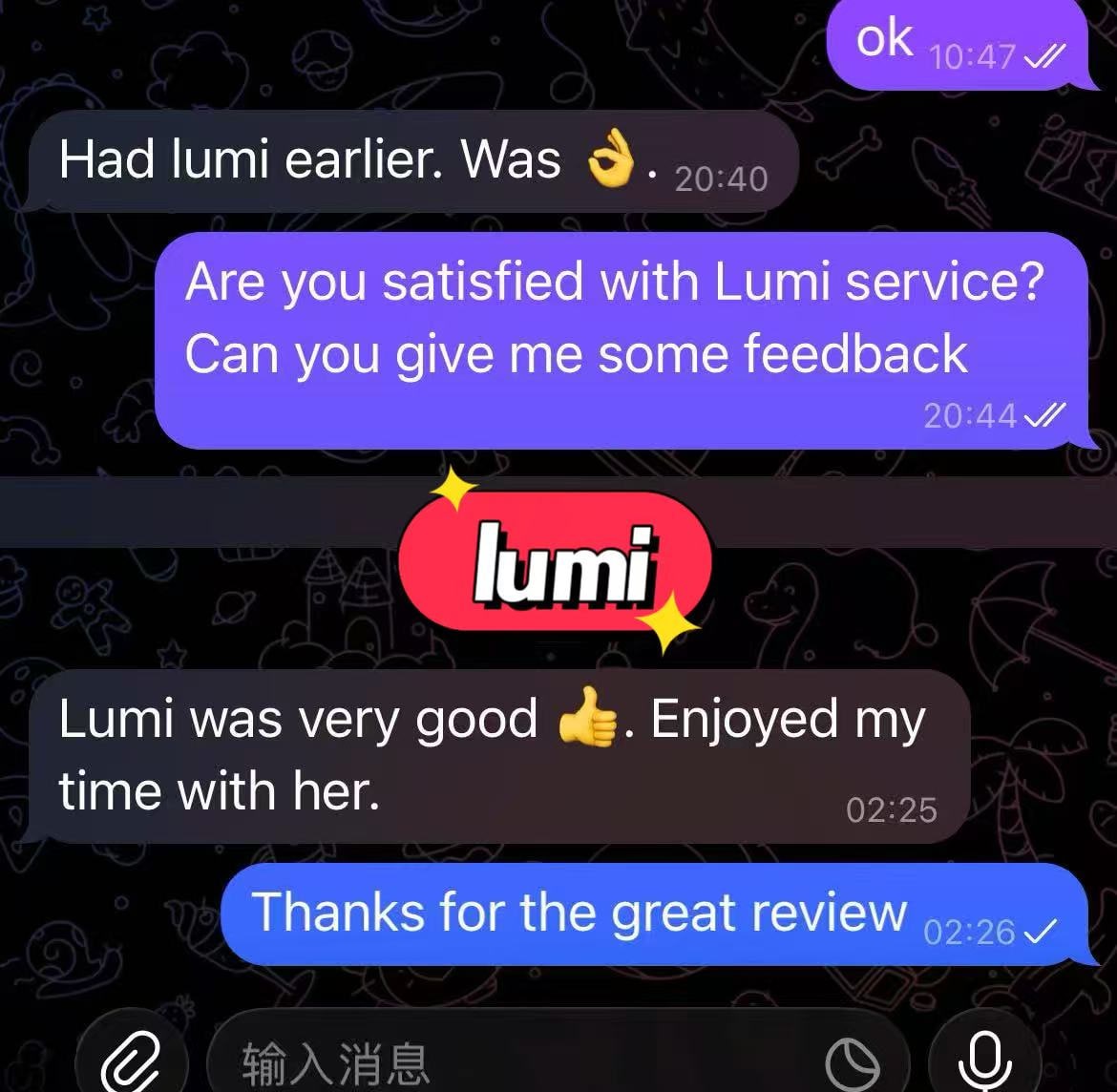 Lumi provider preview