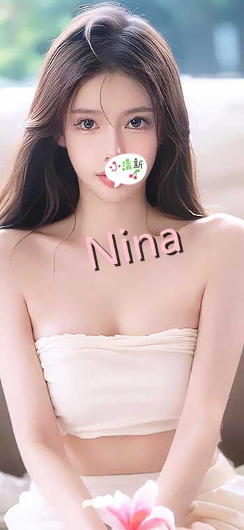 Nina provider preview
