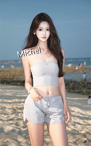 Michel provider preview