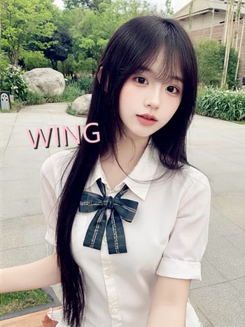Wing provider preview