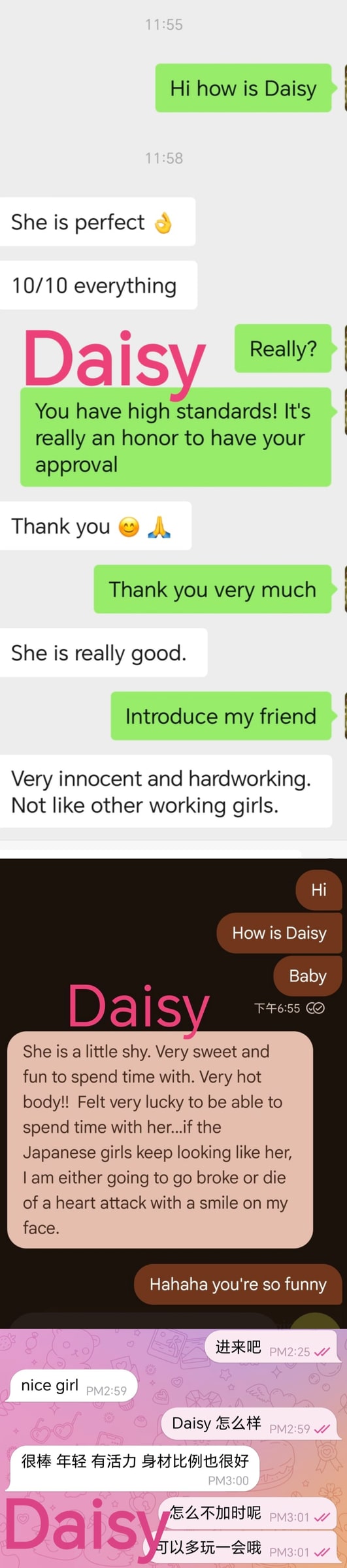 DAISY provider preview
