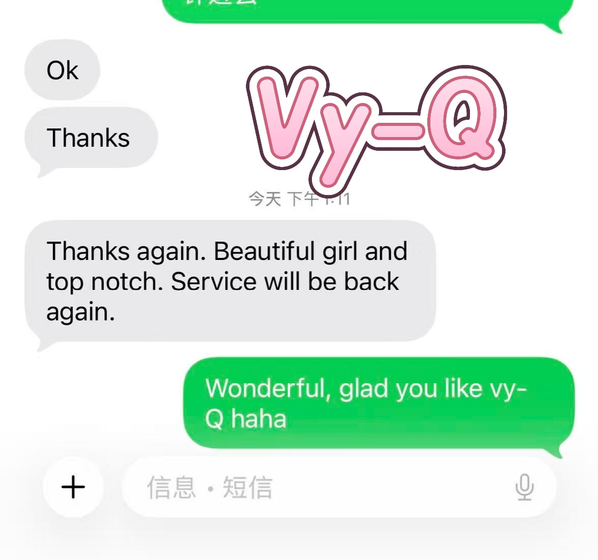 Vy-Q — photo 10 of 27