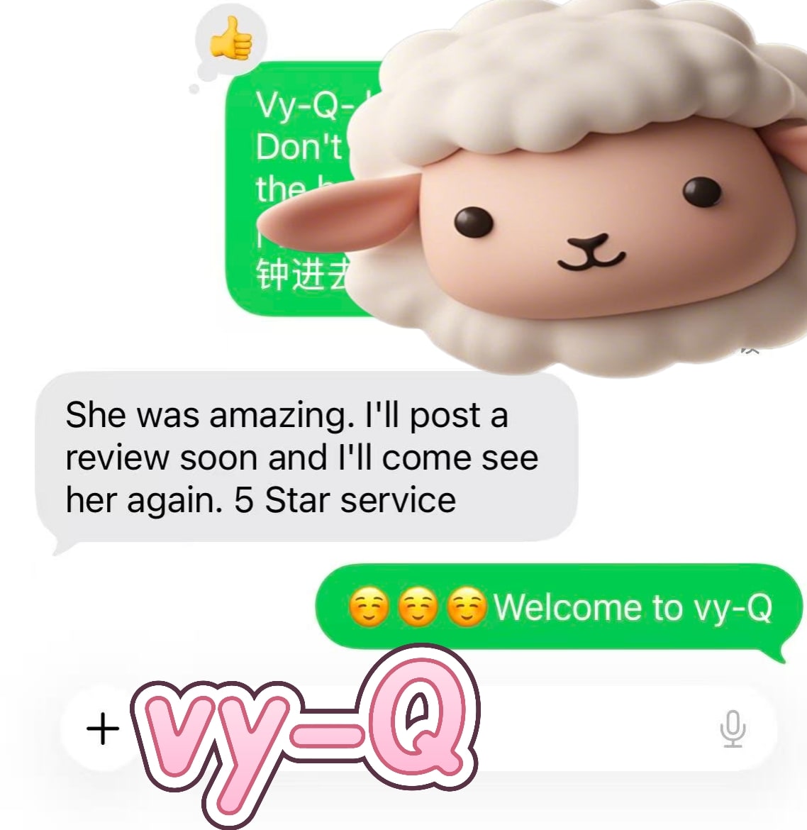 Vy-Q — photo 19 of 27