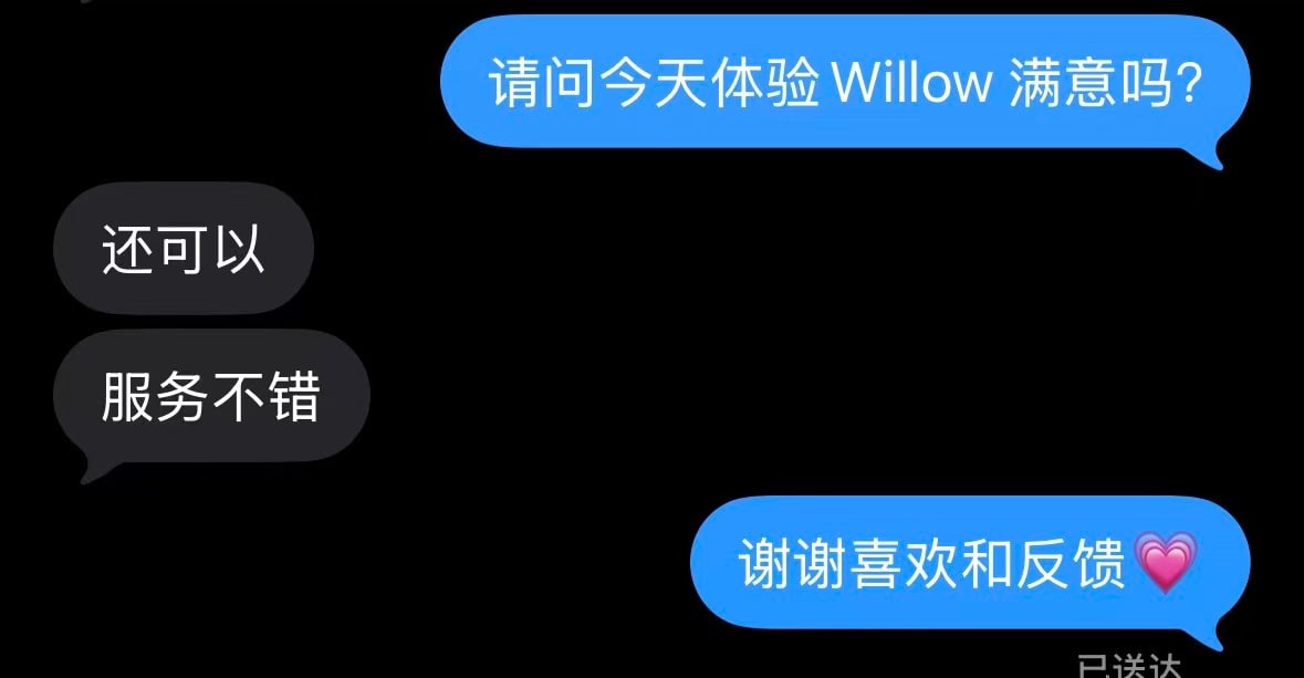 Willow provider preview