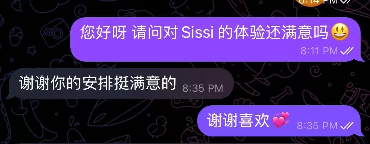 Sissi provider preview