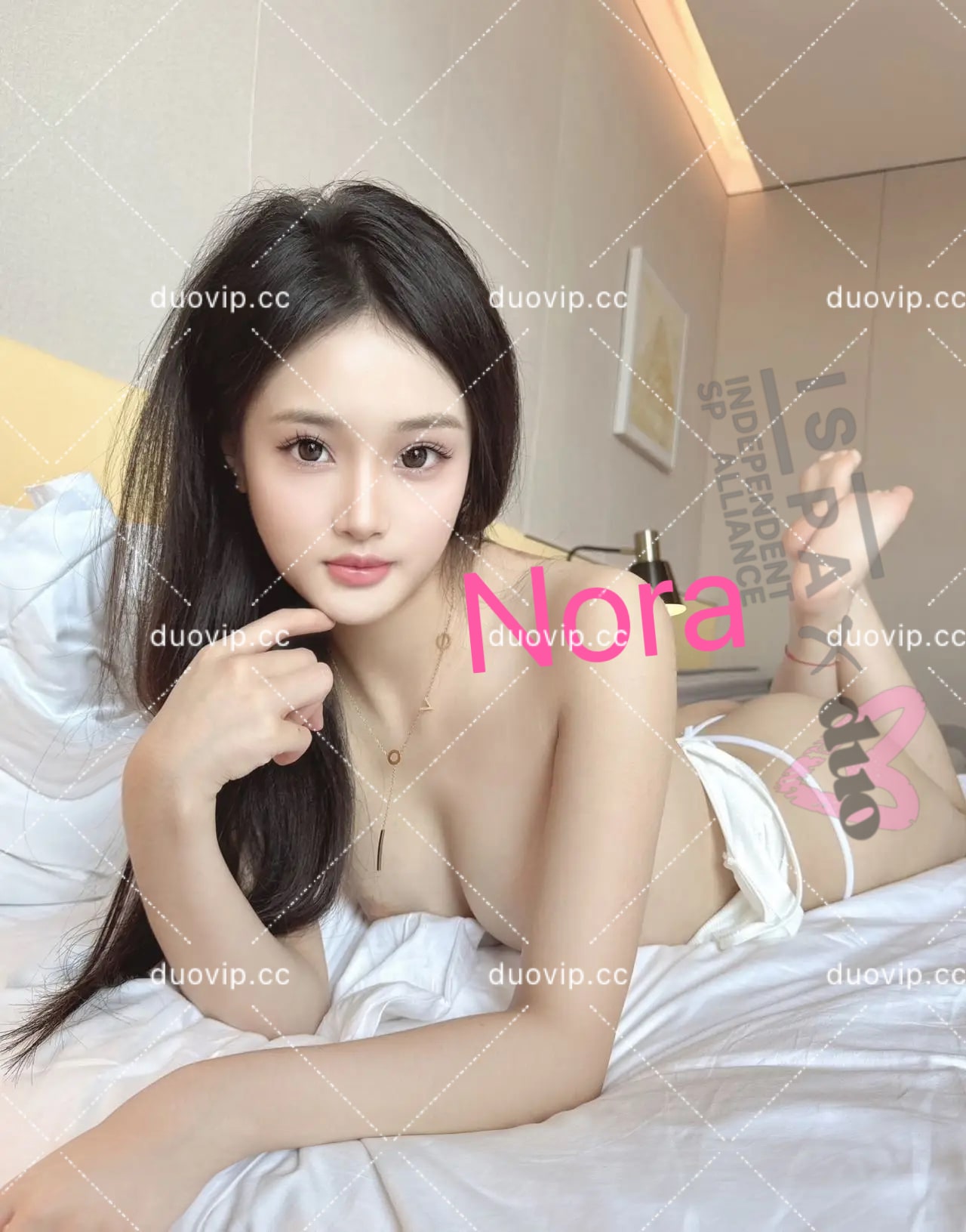 Nora provider preview