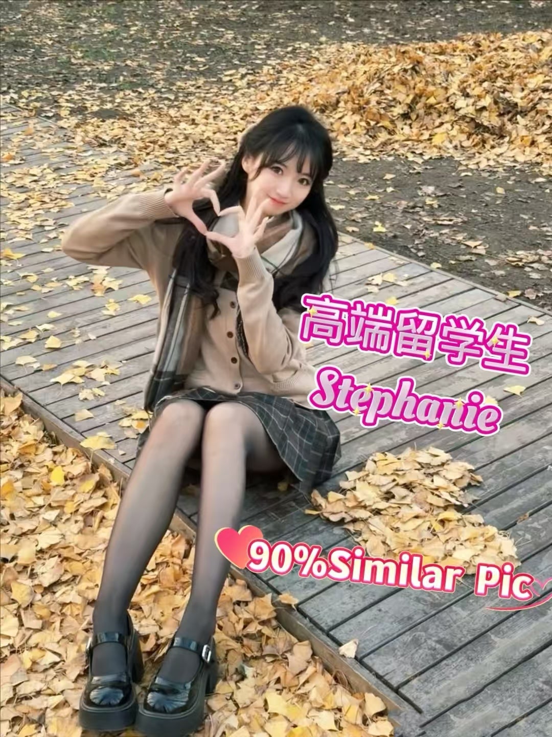 Stephanie provider preview