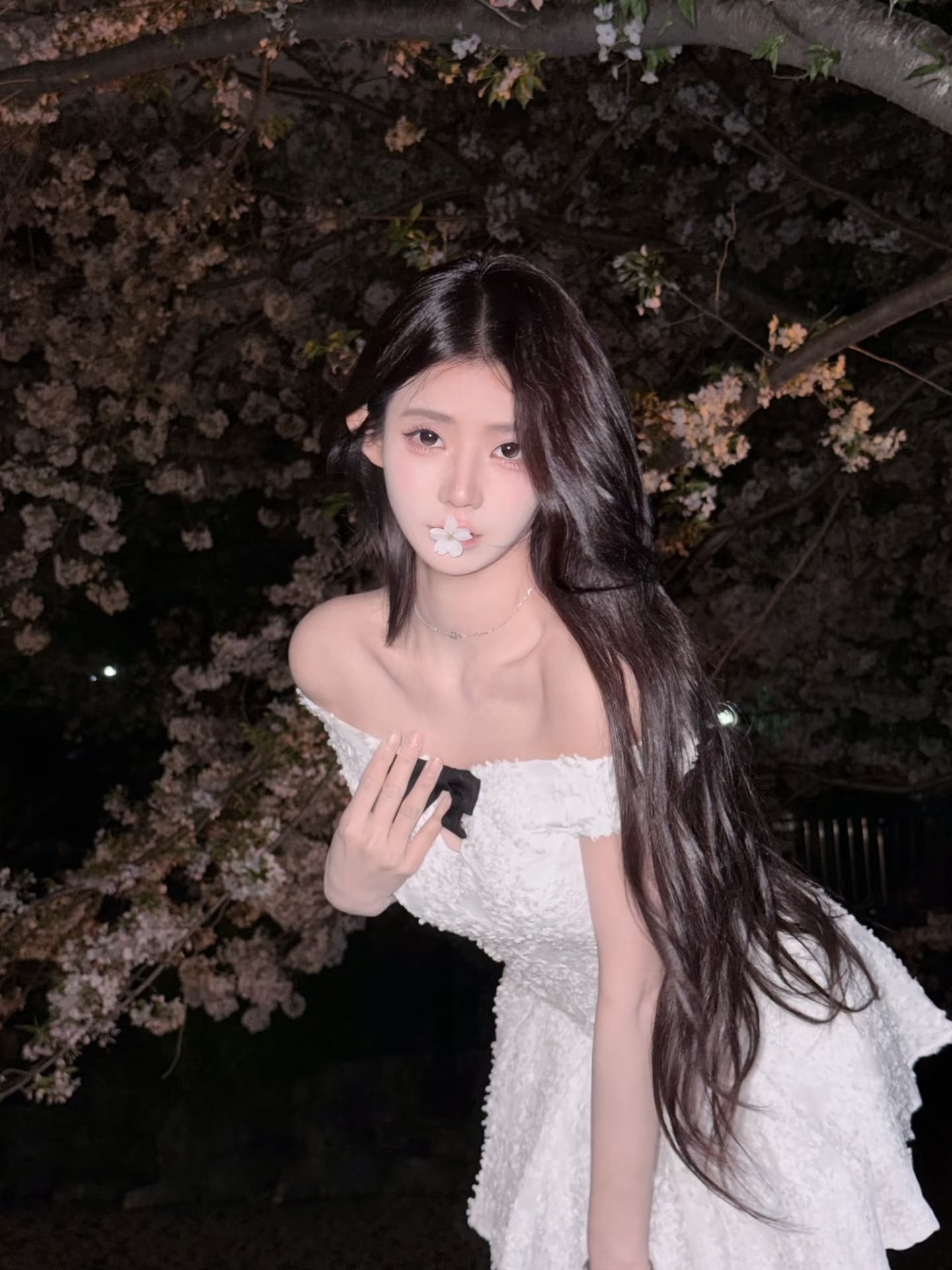 Monica provider preview